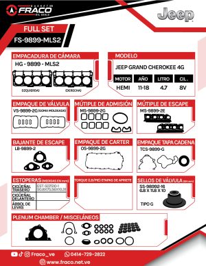 FS-9899-MLS2